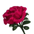 thumbnail image 1 of ed Stem Bouquet, Handmade Flower DIY Material Package, Craft Making Rose Red, 1 of 9