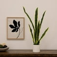 thumbnail image 5 of Mainstays 30"H Artificial Indoor Snake Plant in a Vanilla Plant Container, 5 of 6