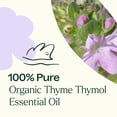 thumbnail image 5 of Plant Therapy Thyme Thymol Organic Essential Oil 10 mL (1/3 oz) 100% Pure, Undiluted, Natural Aromatherapy, 5 of 8