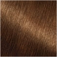 thumbnail image 4 of Garnier Nutrisse Ultra Color Nourishing Bold Permanent Hair Coloring Kit, HL1 Rich Toffee, 4 of 11