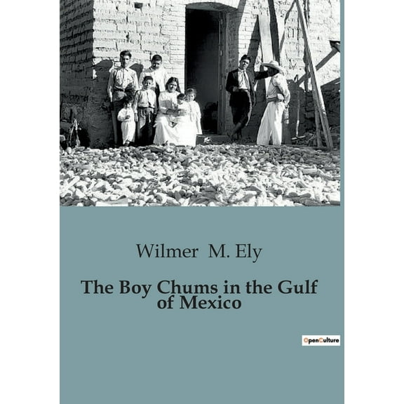 The Boy Chums in the Gulf of Mexico (Paperback)