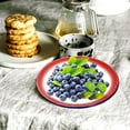 thumbnail image 6 of Hytrove Barbecue Serving Dish Enamel Assorted Color 3Pcs 7.9In, 6 of 8