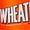 Orange, variant on General Mills Men's Wheaties Logo Sleep Jam Short
