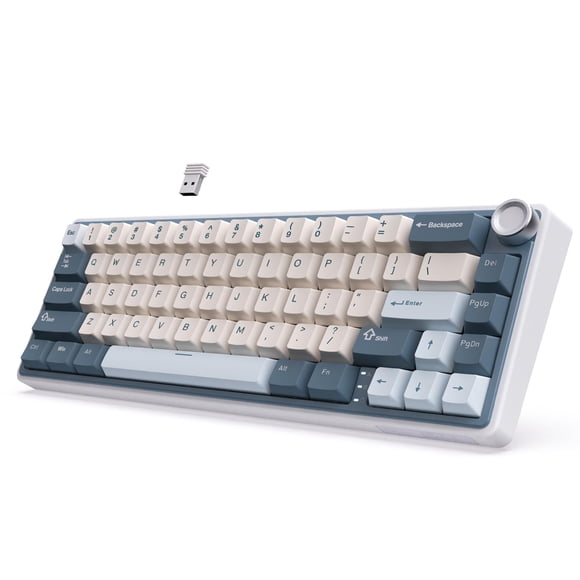 RK ROYAL KLUDGE R65 Wireless Mechanical Keyboard with Volume Knob, Tri-Mode 2.4G/USB-C/BT Gasket Mounted 60% Gaming Keyboard with 66Keys, PBT Keycaps