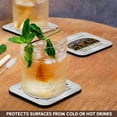 thumbnail image 3 of 3dRose, Florida Territory Gopher Tortoise Design, Set of 8 Coasters - Soft, 3 of 7