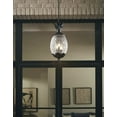 thumbnail image 6 of 7516BC Acclaim Lighting Lanai - Three Light Outdoor Hanging Lantern - 10 Inches Wide by 21 Inches High-Black Coral Finish, 6 of 7