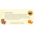 thumbnail image 3 of Celestial Seasonings Tangerine Orange MZF22 Herb Tea (3x20 Bag), 3 of 3