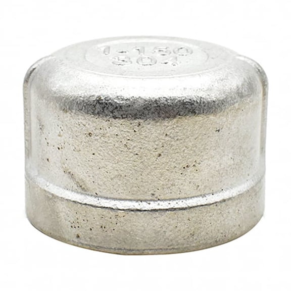 Thrifco 8918085 1 Inch Cap Stainless Steel - Bulk