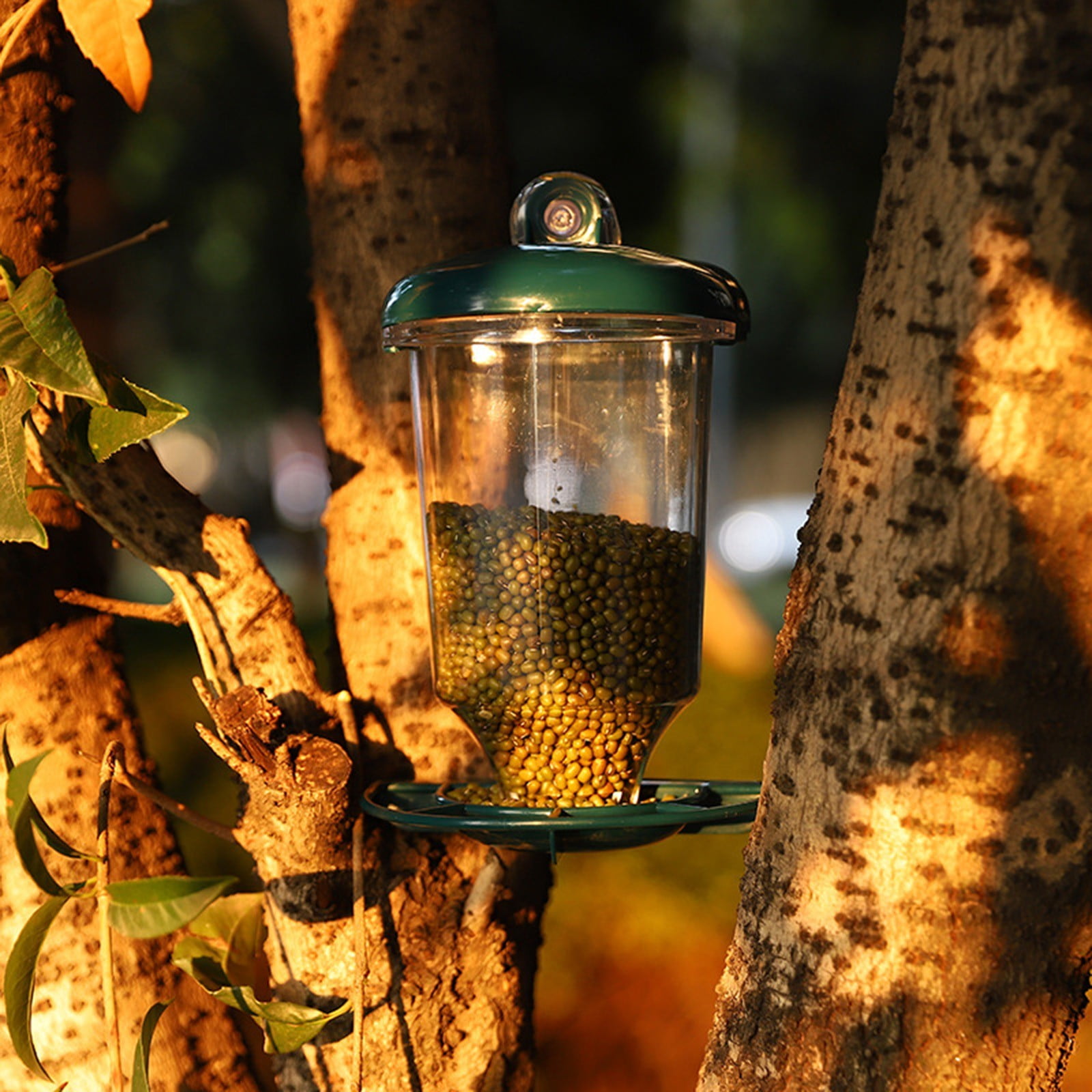 4 Packs Clear Acrylic Window Bird Feeder with Strong Suction Cups Squirrel Proof Outdoor Bird Watching for Kids Pets Wild Birds Garden