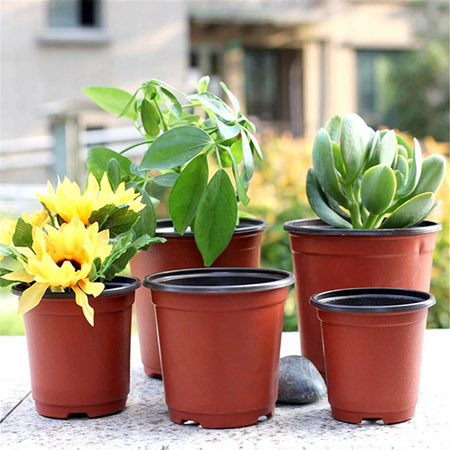 Moaere 100Pcs Plastic Round Succulent Plant Pot Cactus Flower Pot Seedlings (Best Pot For A Cactus)