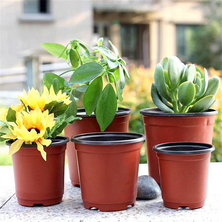 Planting Flower Containers - Moaere 100Pcs Plastic Round Succulent Plant Pot Cactus Flower Pot Seedlings Container