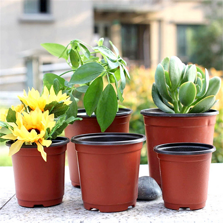 Moaere 100Pcs Plastic Round Succulent Plant Pot Cactus Flower Pot Seedlings