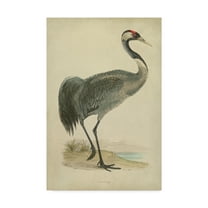 Trademark Fine Art 'Morris Crane I' Canvas Art by Morris