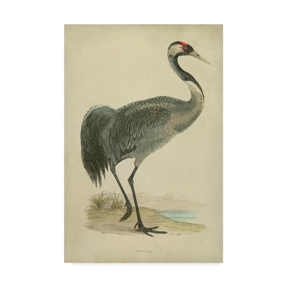 Trademark Fine Art 'Morris Crane I' Canvas Art by Morris