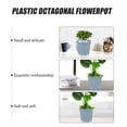 thumbnail image 5 of 15 Pcs Plastic Octagonal Flower Pot Indoor Plants Cute Planters, 5 of 6