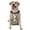 With Accessories, variant on Vsdgher Travel Elements Pattern Dog Harness,No Pull Pet Harness with Soft Padded Handle,Adjustable Reflective Vest with 2 Buckles,4 Slide Buckles,S-XL Medium
