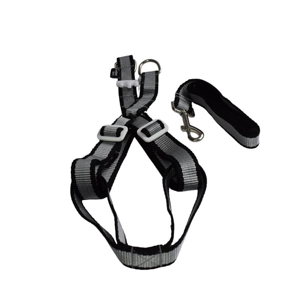 Arnes con correa para mascota Infanti Pets negro chico