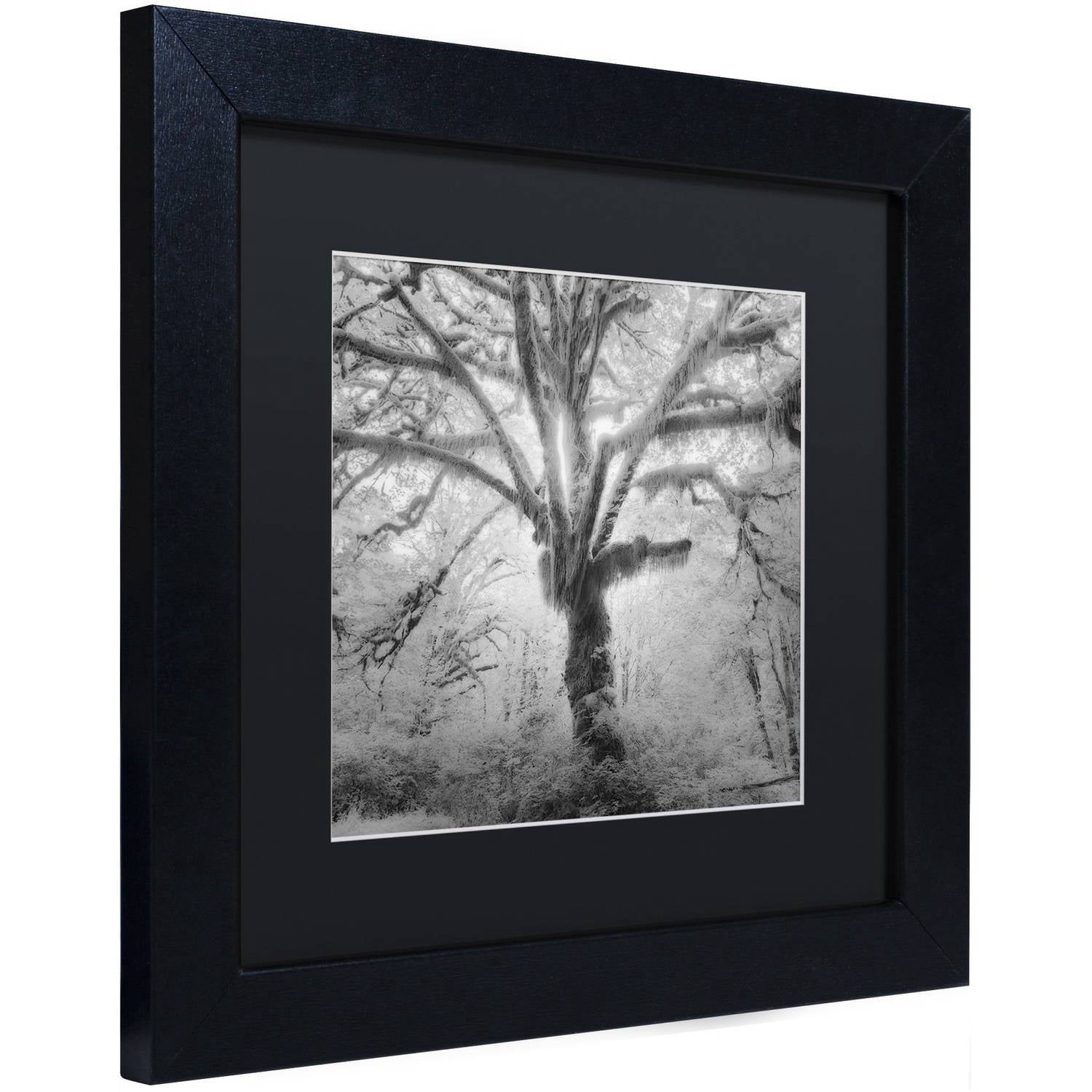 Moises Levy 'Lightning Tree II' Black Matted Framed Art