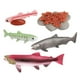 thumbnail image 3 of Conjunto de modelos  Juguete de salmón Colección de juguetes educativos para niños - Salmón Hugo Juego de crecimiento de tortugas marinas, 3 of 10