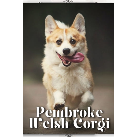 Pembroke Welsh Corgi: Dog breed overview and guide (Paperback)