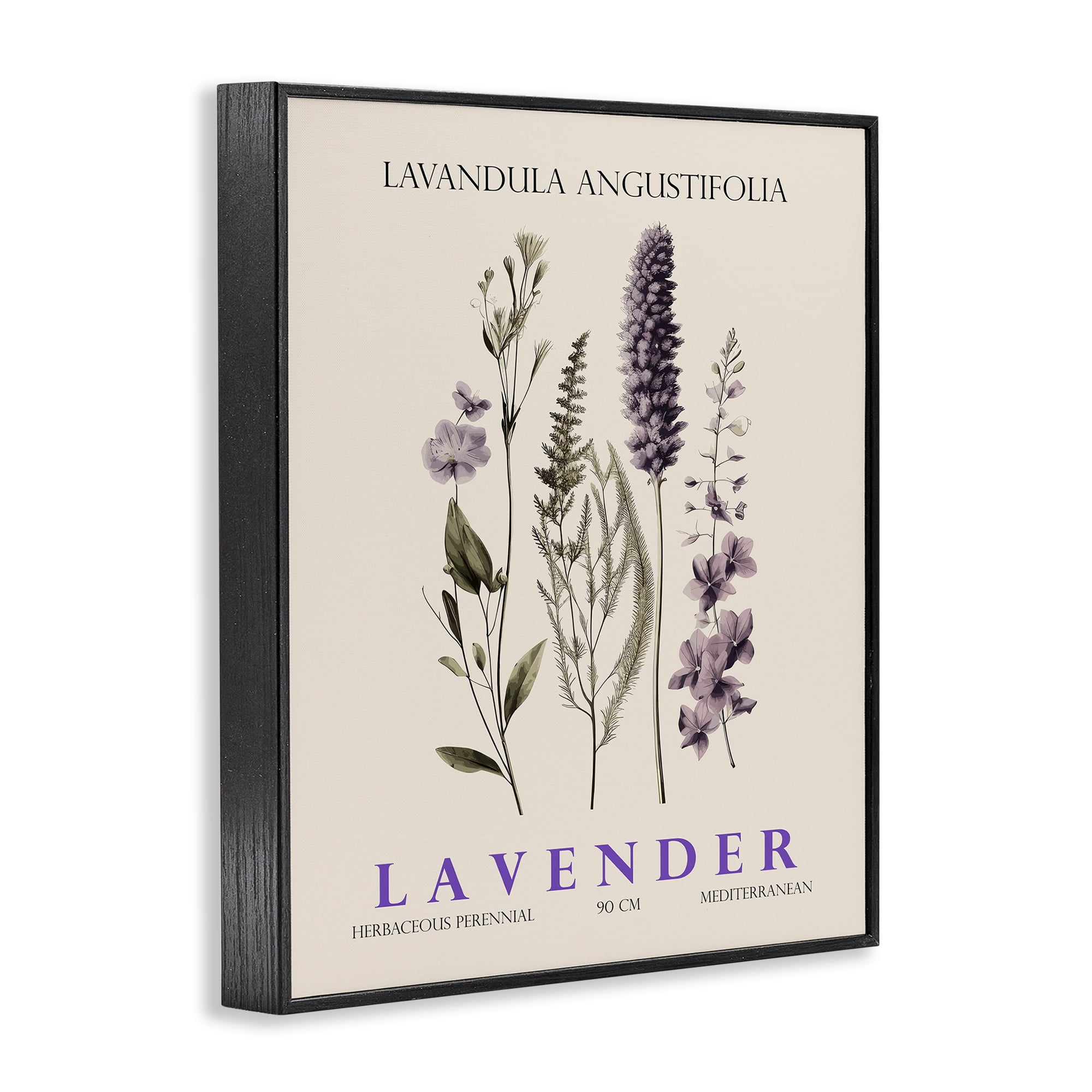 Stupell Industries Natural Lavender Bundle Black Framed Giclee Art, design by Christopher Giampietro