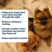 Snuggle Puppy Junior Heartbeat Puppy Toy - Heartbeat Puppy for Dogs - Pet Anxiety Relief and Calming Aid - Comfort Dog Toy - Behavioral Training and Sleep Aid Cuddle Buddy - Biscuit