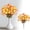B, variant on Clearance Under $1 Artificial Eucalyptus Pick Autumn Eucalyptus Spray Abs For Living Room Vase Filler Front Porch Pot (A) (1Pc)