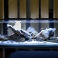 thumbnail image 1 of unbranded Soporte Organizador Para Bombas De Acuario Con Compacto Y Durabilidad, 1 of 8