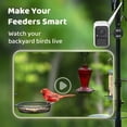 thumbnail image 3 of Bird Camera,  Netvue Birdfy Smart Bird Feeder Camera with Solar Panel for Outdoor Bird Watching, 3 of 10