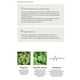 thumbnail image 5 of Suero Calming Beauty of Joseon Verde con Panthenol, 5 of 7