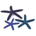 thumbnail image 1 of shiyou-BiOrb 46143.0 Starfish Set 3 Blue Aquariums, 1 of 4