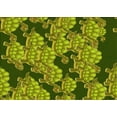 thumbnail image 1 of Ahgly Company Machine Washable Indoor Rectangle Transitional Green Area Rugs, 5' x 8', 1 of 7