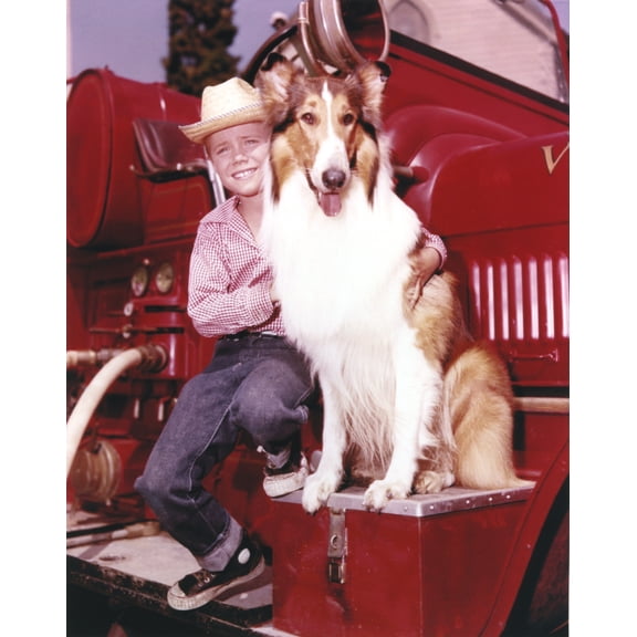 Lassie Portrait with A Boy posed on Red Car Photo Print (8 x 10)