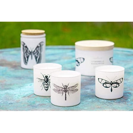 Skeem Citronella Sea Salt Votive Scented Candles - Set of 3 White Votive Candles - 50 Hour Burn Time - Made in The USA