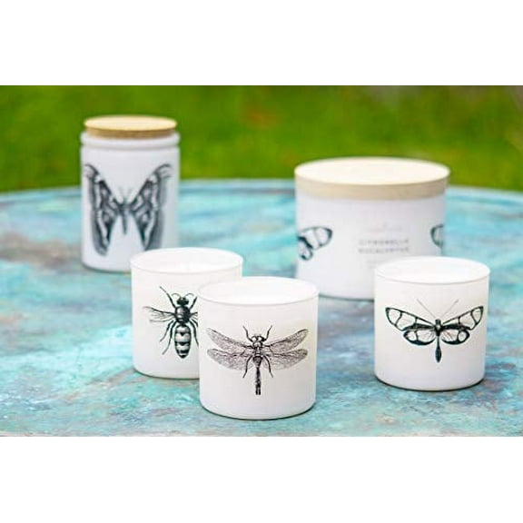 Skeem Citronella Sea Salt Votive Scented Candles - Set of 3 White Votive Candles - 50 Hour Burn Time - Made in The USA