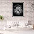 thumbnail image 4 of Cuadros Decorativos Kit de dibujo de taladro redondo completo DIY 5D Animal blanco negro hecho a mano pintura de diamante JShteea Nuevos Originales, 4 of 5