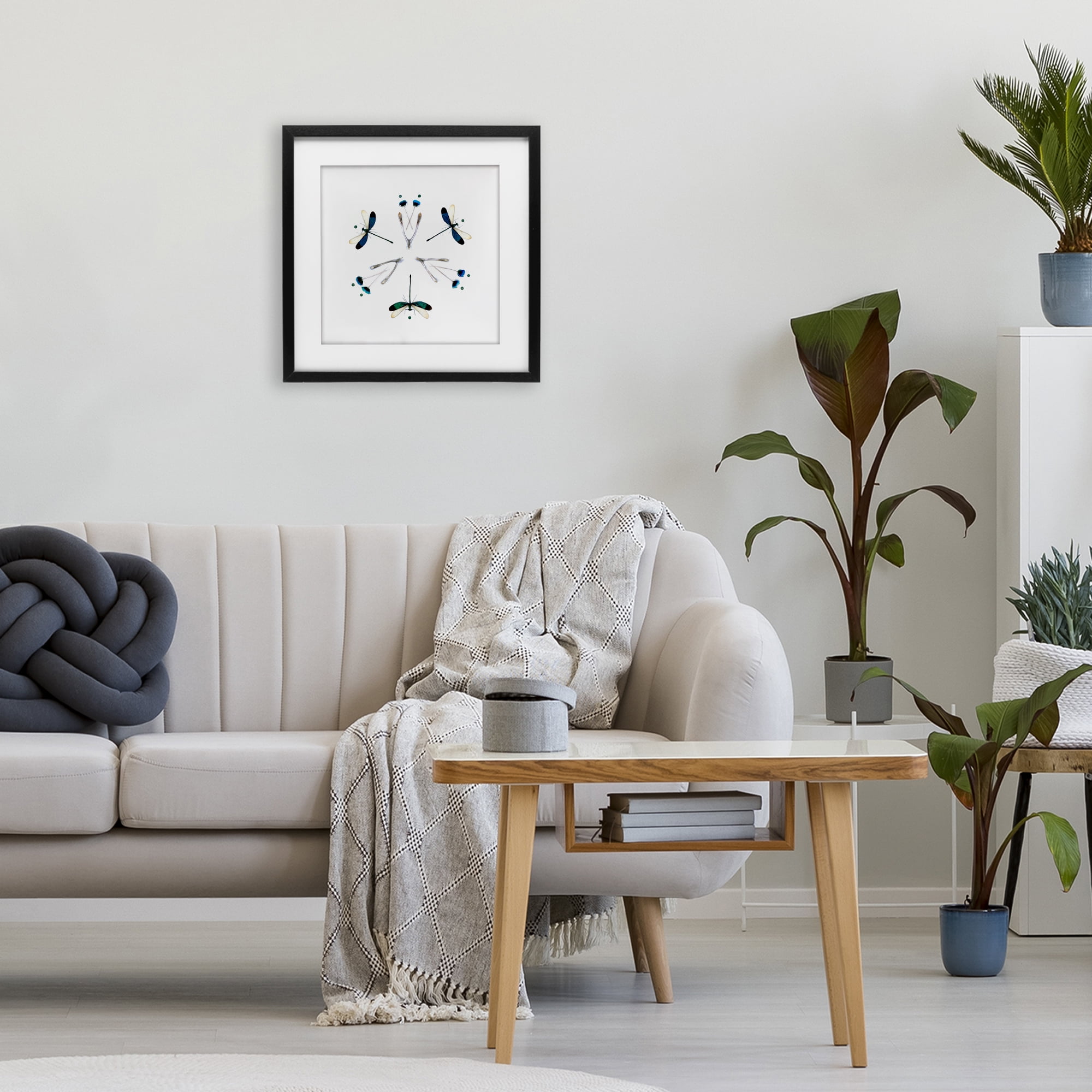 Stupell Industries Simple Dragonfly Symmetry Black Framed Print Under Glass, design by Beth Adoette
