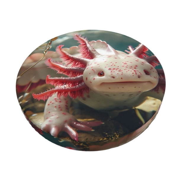Balery Colorful Axolotl Underwater Fundas de asiento para taburete de bar redondo de tela de terciopelo ajustables que protegen de arañazos y manchas para sillas de 14 a 17 pulgadas.-13 inch