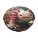 thumbnail image 1 of Balery Colorful Axolotl Underwater Fundas de asiento para taburete de bar redondo de tela de terciopelo ajustables que protegen de arañazos y manchas para sillas de 14 a 17 pulgadas.-13 inch, 1 of 7