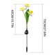 thumbnail image 3 of Luces LED solares para jardín, con forma de flor, de 3 cabezas, decorativas, para exteriores, con forma de narciso, para jardín y patio., 3 of 7