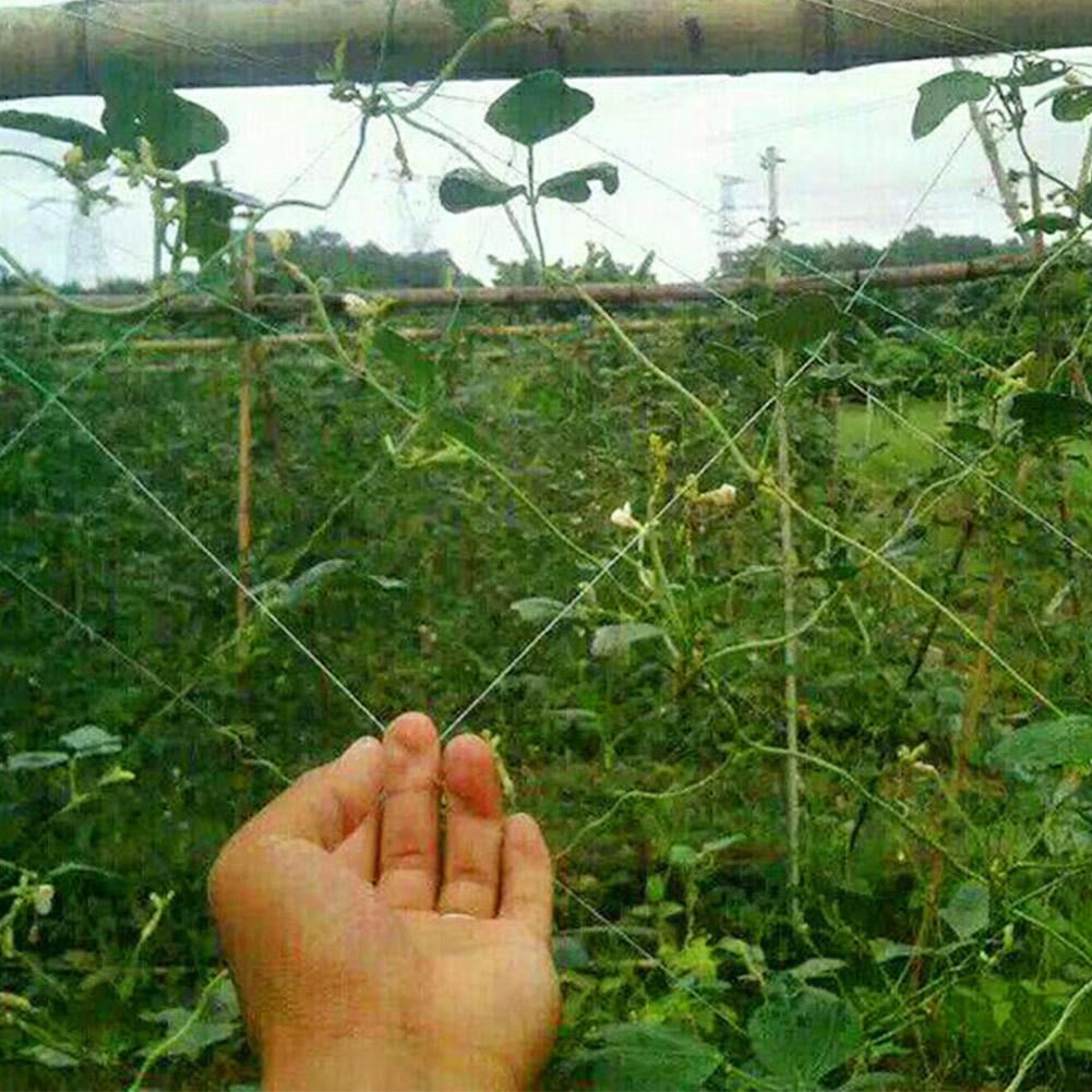 Cergrey Garden Plant Trellis Net Plants Climbing Frame Fruit Tree