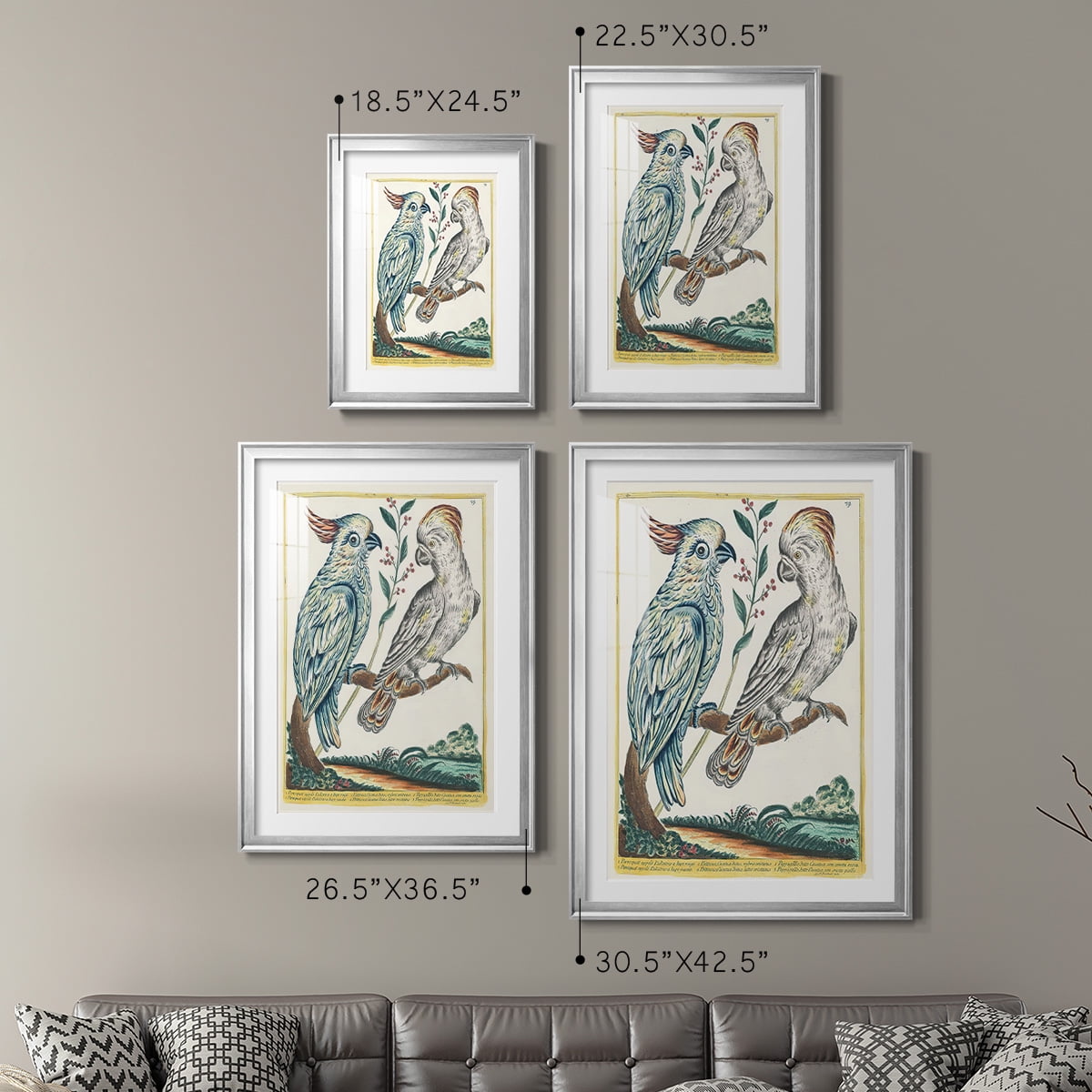 Wexford Home Pastel Birds I Premium Framed Print, 30.5" x 42.5" - Ready to Hang, Silver (Set of 2)