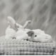 thumbnail image 2 of Dragon stuffed animal toy with wings, cute soft dragon pterodactyl plush toy dinosaur plush pillow doll, 2 of 5