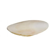 (2 pack) 5 Cuttlebone For Birds