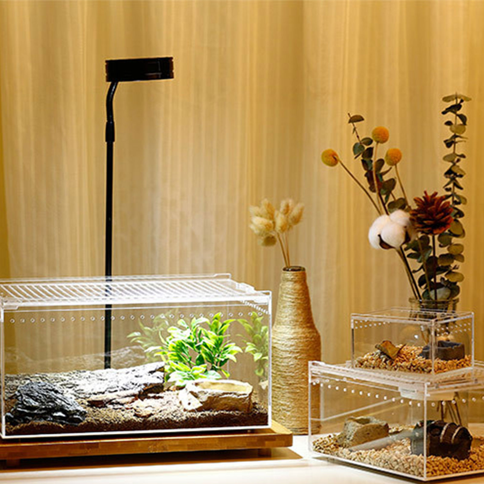 Reptile Box Feeding Small Pet Horned Spider Lizards Snail Snake Clear Designed Box Silkworms Snake House