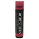 thumbnail image 1 of Bálsamo labial Burts Bees Burts Bees Tinted Lip Balm - Hibiscus Bálsamo labial Unisex 0.15oz, 1 of 1