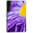 thumbnail image 2 of Large Violet Flower Petal Close up, 2 of 3