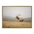 thumbnail image 2 of Kate and Laurel Sylvie Tule Elk No 3 Framed Canvas Wall Art by Crystal Lynn Collins, 28x38 Natural, Rustic Animal Wall Decor Art, 2 of 6
