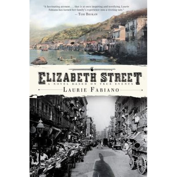 Pre-Owned Elizabeth Street (Paperback) 0547744943 9780547744940