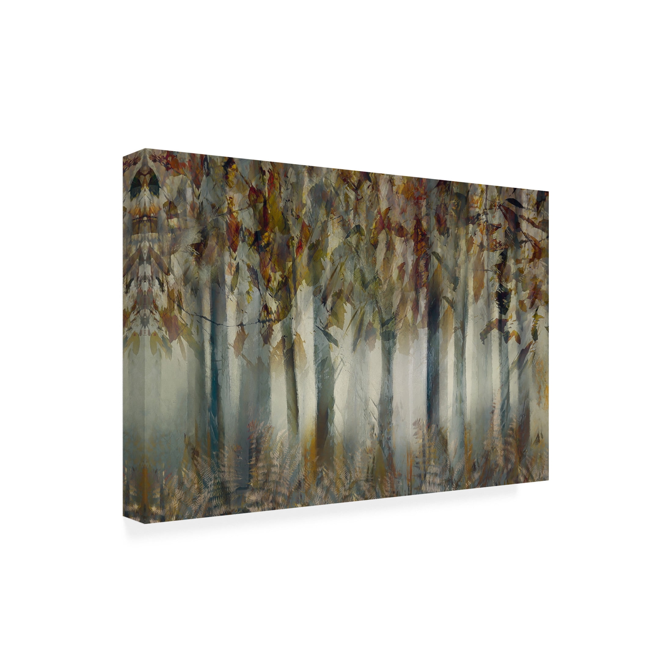 Trademark Fine Art Nel Talen The dark forest Canvas Wall Art